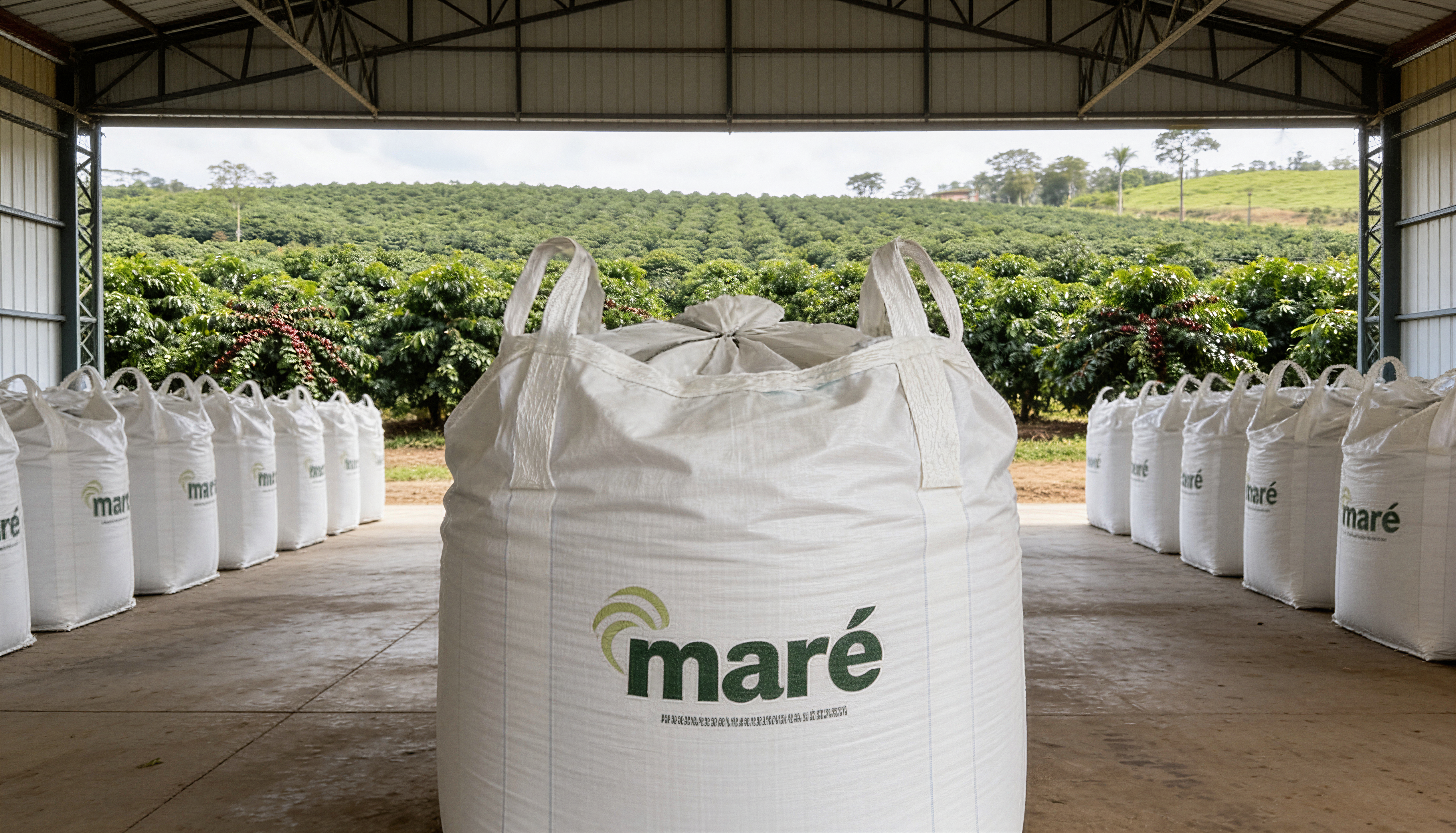 Tecnologia de fertilizantes e técnico em lavoura de cana